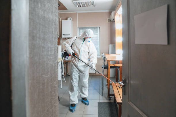 Best Mold Remediation for Vacation Homes  in Brushy, OK